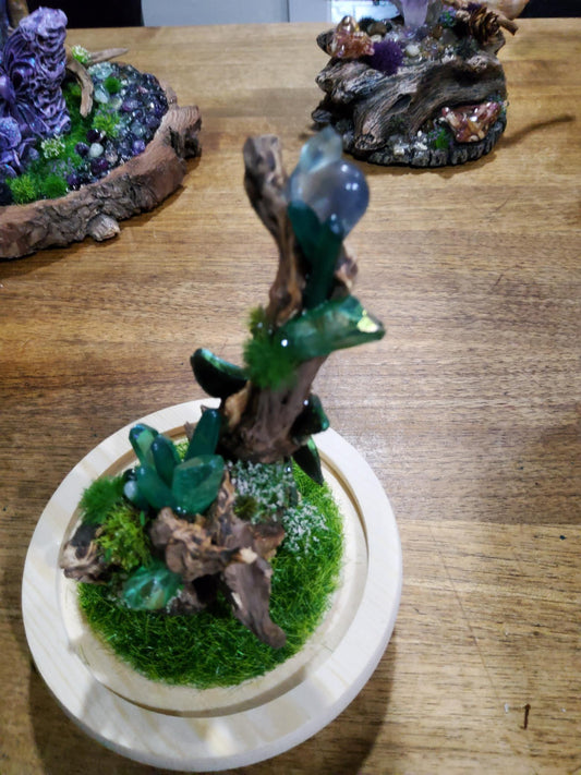 Crystal Gardens