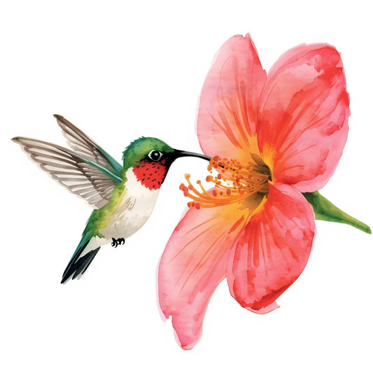 Paint Kit Hummingbird